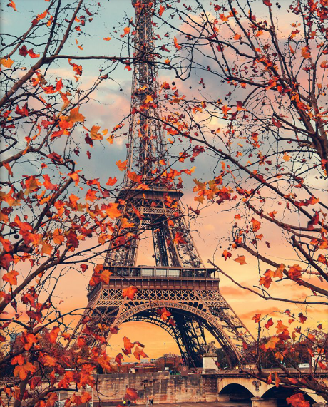 PAISAJES Y NATURALEZA