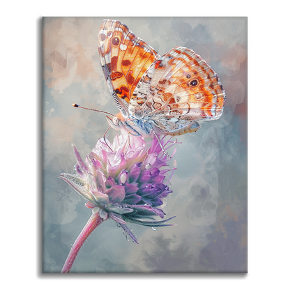 Mariposa Con Gotas De Rocío - Pintar por Números
