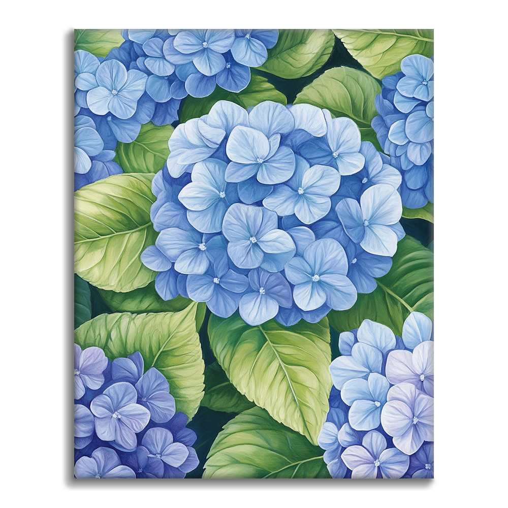 Hortensias Agrupadas - Pintar por Números