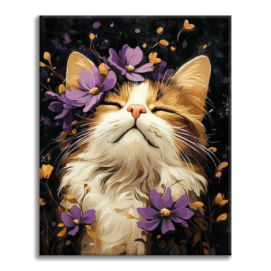 Gato Ragdoll - Pintar por Números