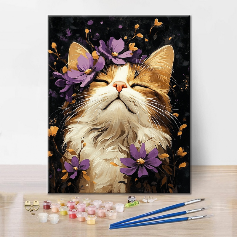 Gato Ragdoll - Pintar por Números