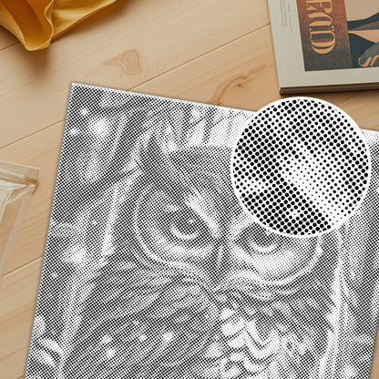 Blue Owl - Pintura por puntos