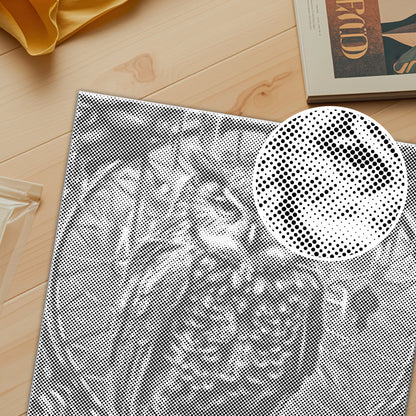 An Owl - Pintura por puntos