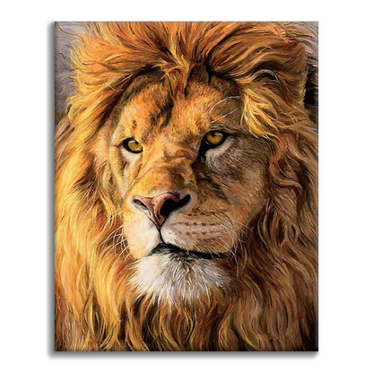 Leones africanos enormes - Pintar por Números