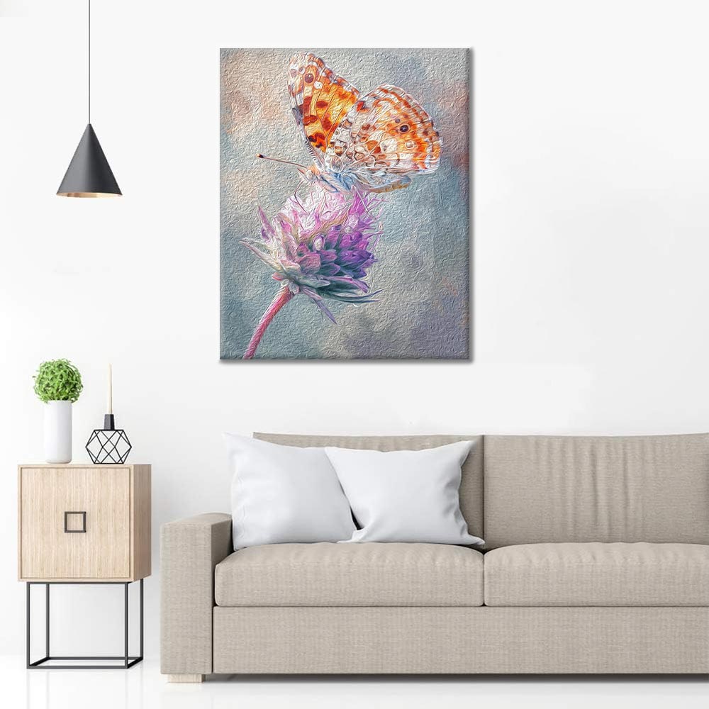 Mariposa Con Gotas De Rocío - Pintar por Números
