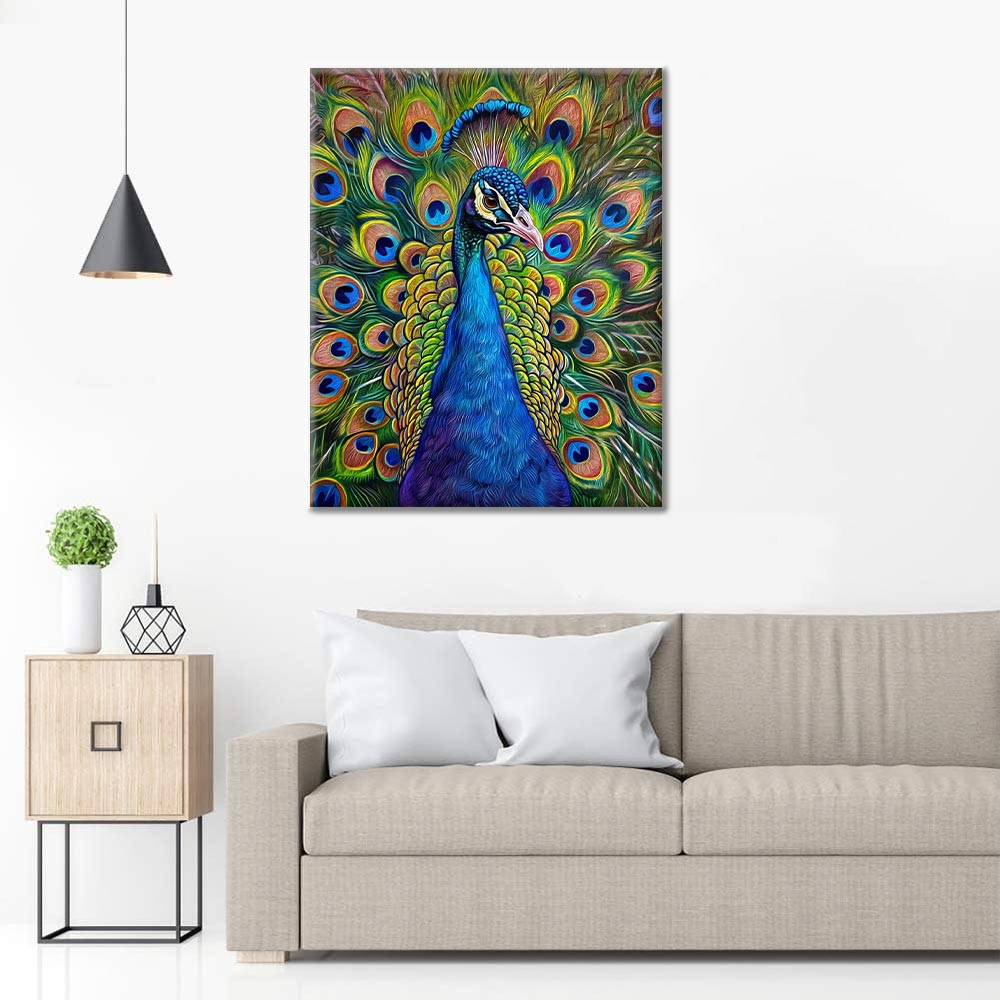 Pavo Real - Pintar por Números