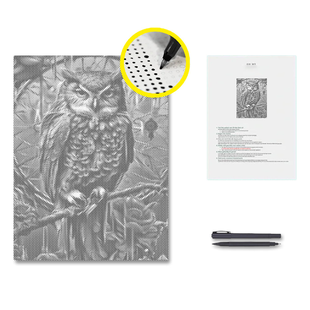 An Owl - Pintura por puntos