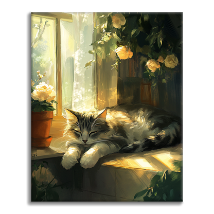 Gato Durmiendo - Pintar por Números