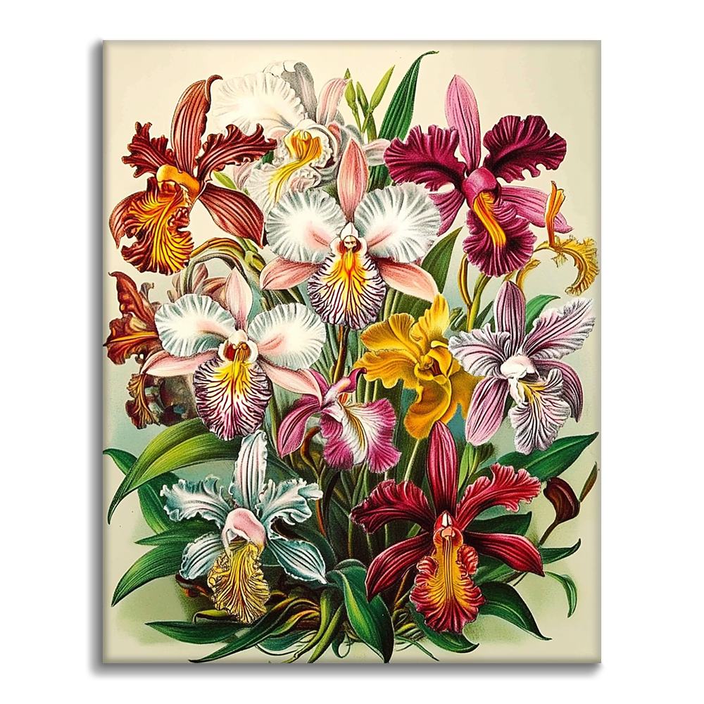Orquídeas Reales - Pintar por Números