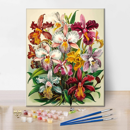 Orquídeas Reales - Pintar por Números