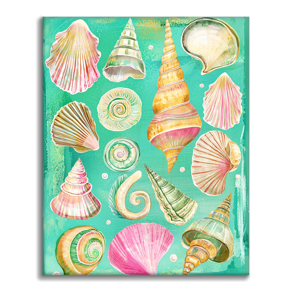 Concha y Caracol - Pintar por Números