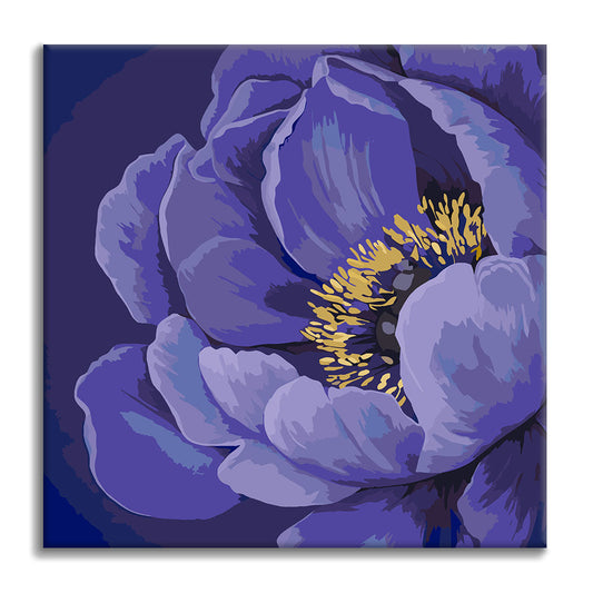 Flor de Medianoche - Mini Pintura por Números