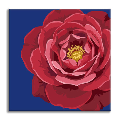 Rojo carmesí y azul celeste - Mini pintura por números