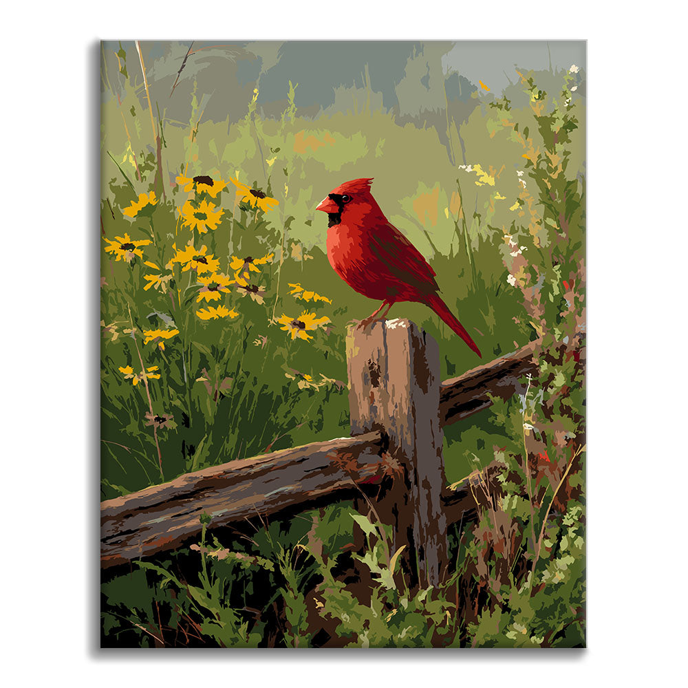 Cardenal campestre - Pintura por números
