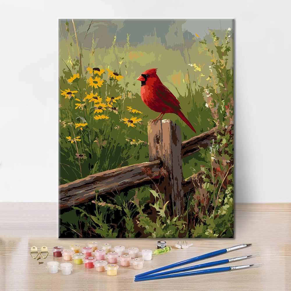 Cardenal campestre - Pintura por números