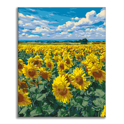 Campo de girasoles - Pintura por números