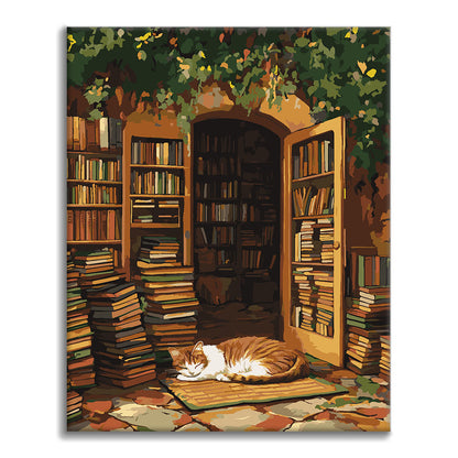 El gato de la biblioteca - Pintura por números