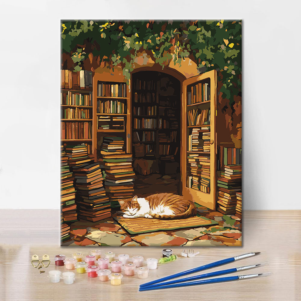El gato de la biblioteca - Pintura por números