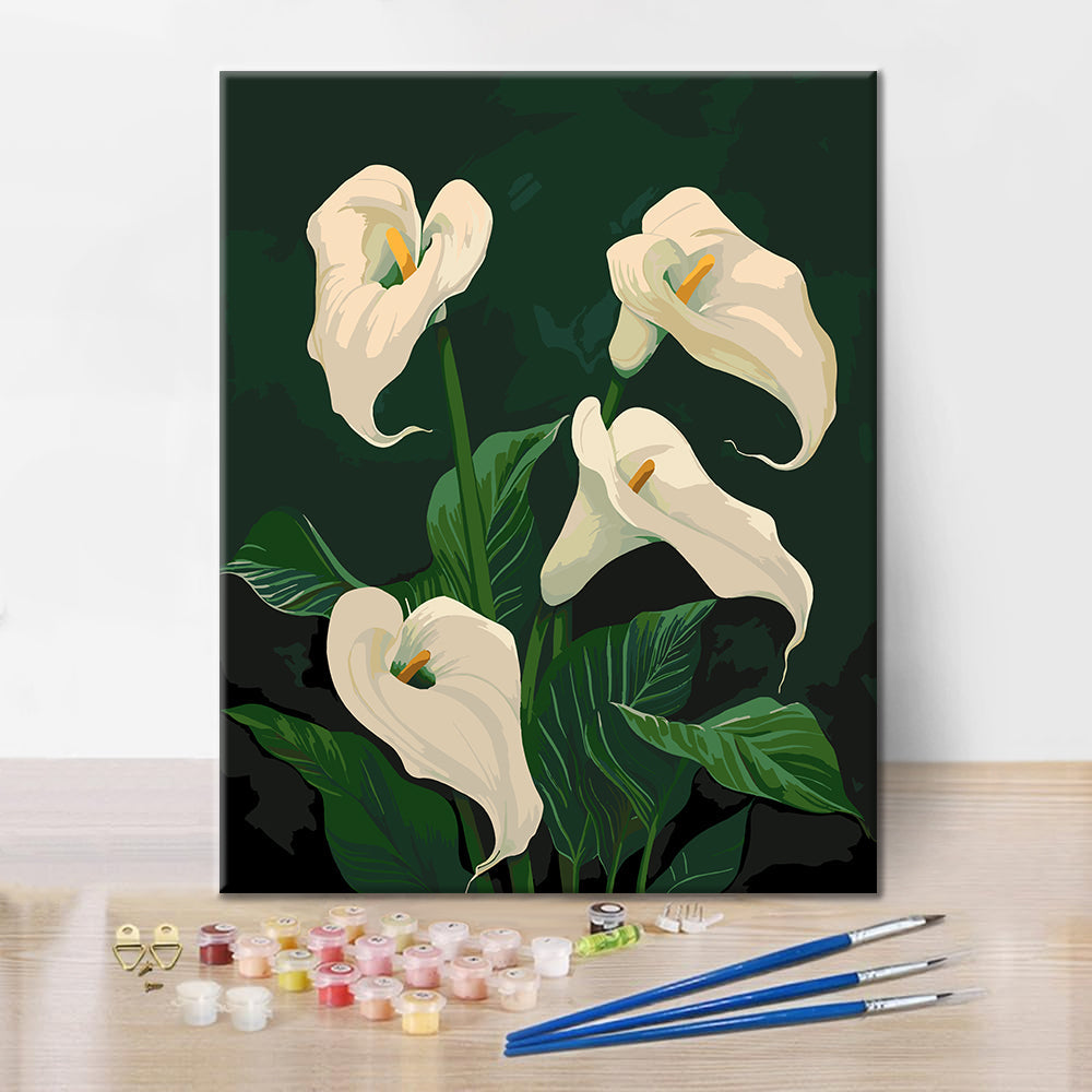 Lirios cala blancos en flor - Pintura por números