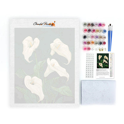 Lirios cala blancos en flor - Pintura por números