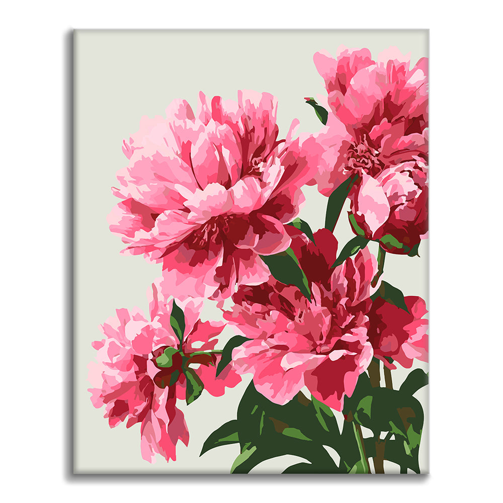 Peonías exquisitas – Pintura por números