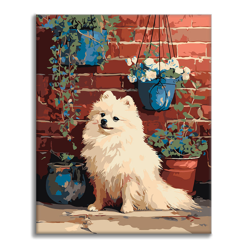 Pomerania junto a pared de ladrillo – Pintura por números