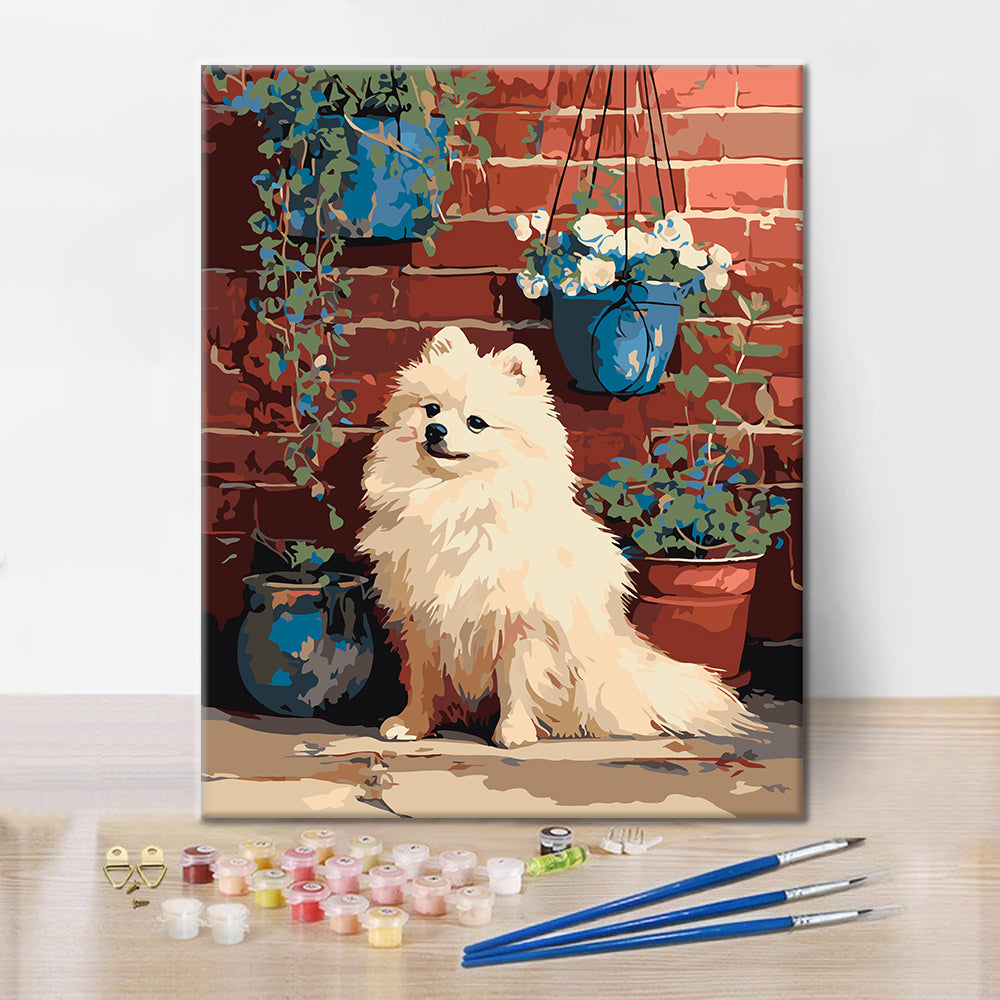 Pomerania junto a pared de ladrillo – Pintura por números