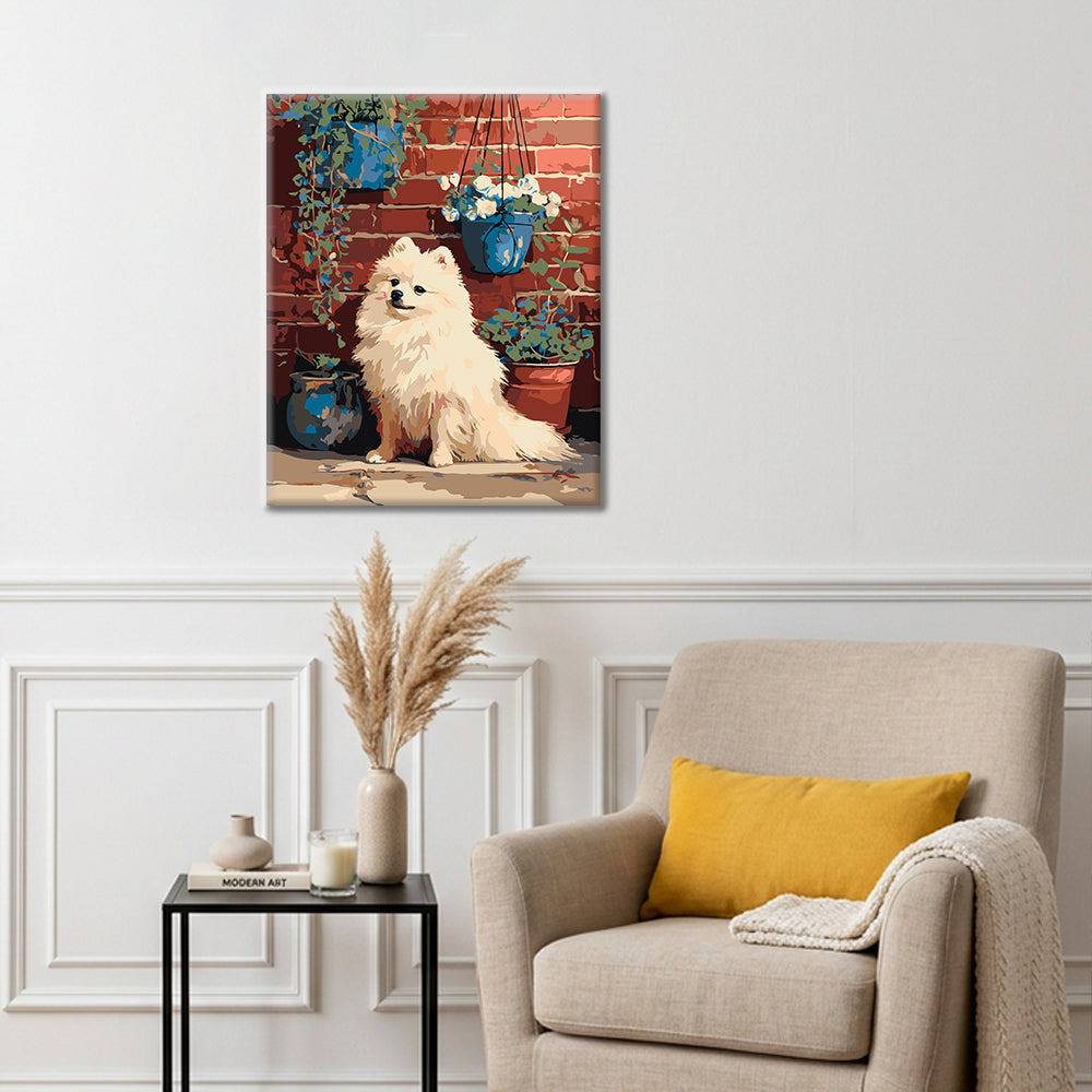 Pomerania junto a pared de ladrillo – Pintura por números