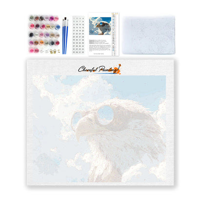 Observador del cielo – Pintura por números
