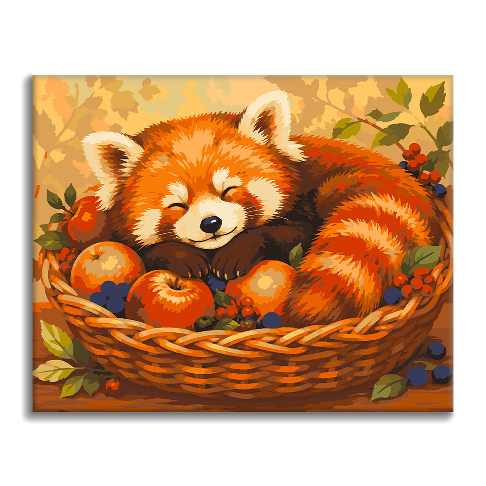 Panda rojo dormido – Pintura por números