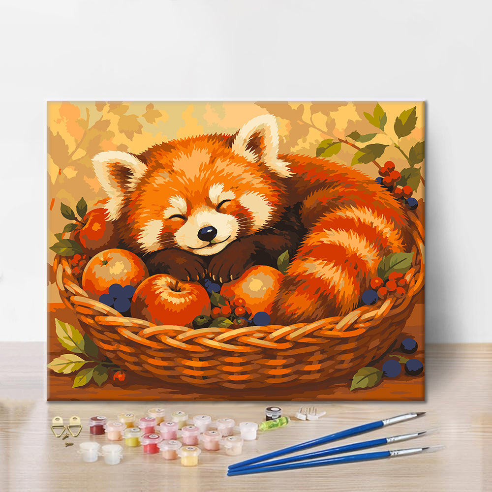 Panda rojo dormido – Pintura por números