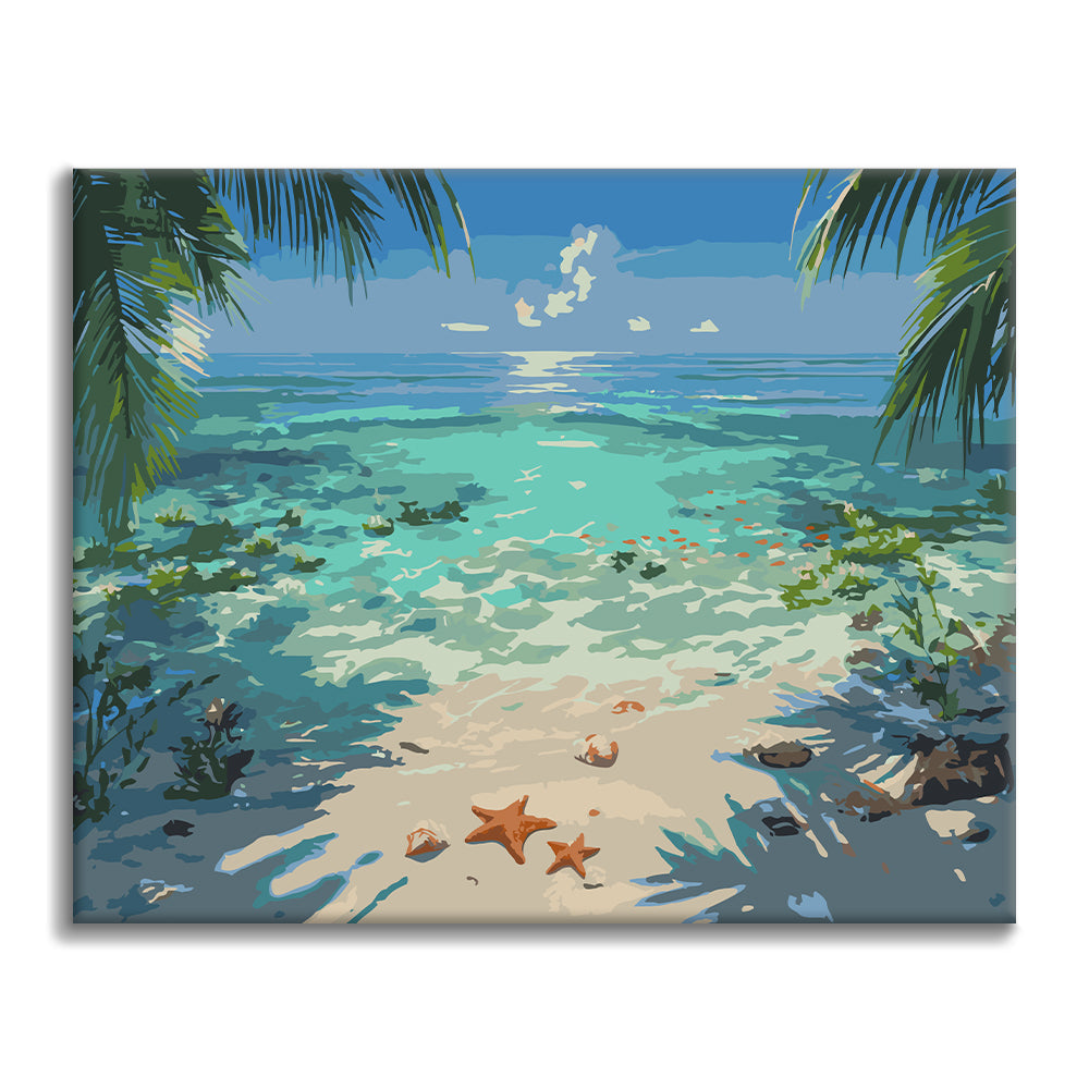 Orilla de estrellas de mar – Pintura por números