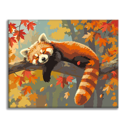 Panda rojo durmiente – Pintura por números