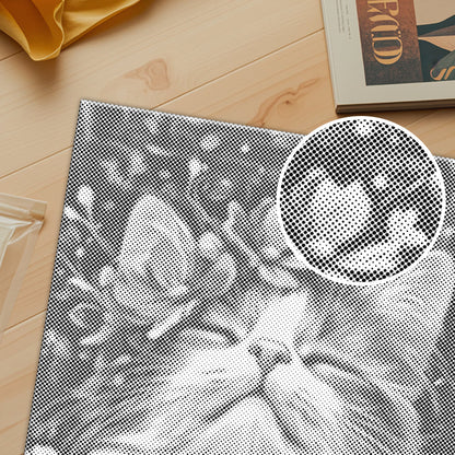 Gato ragdoll – Pintura de puntos