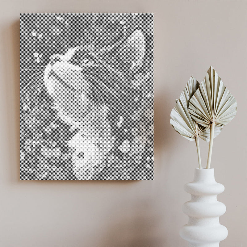 Selkirk Rex – Pintura de puntos