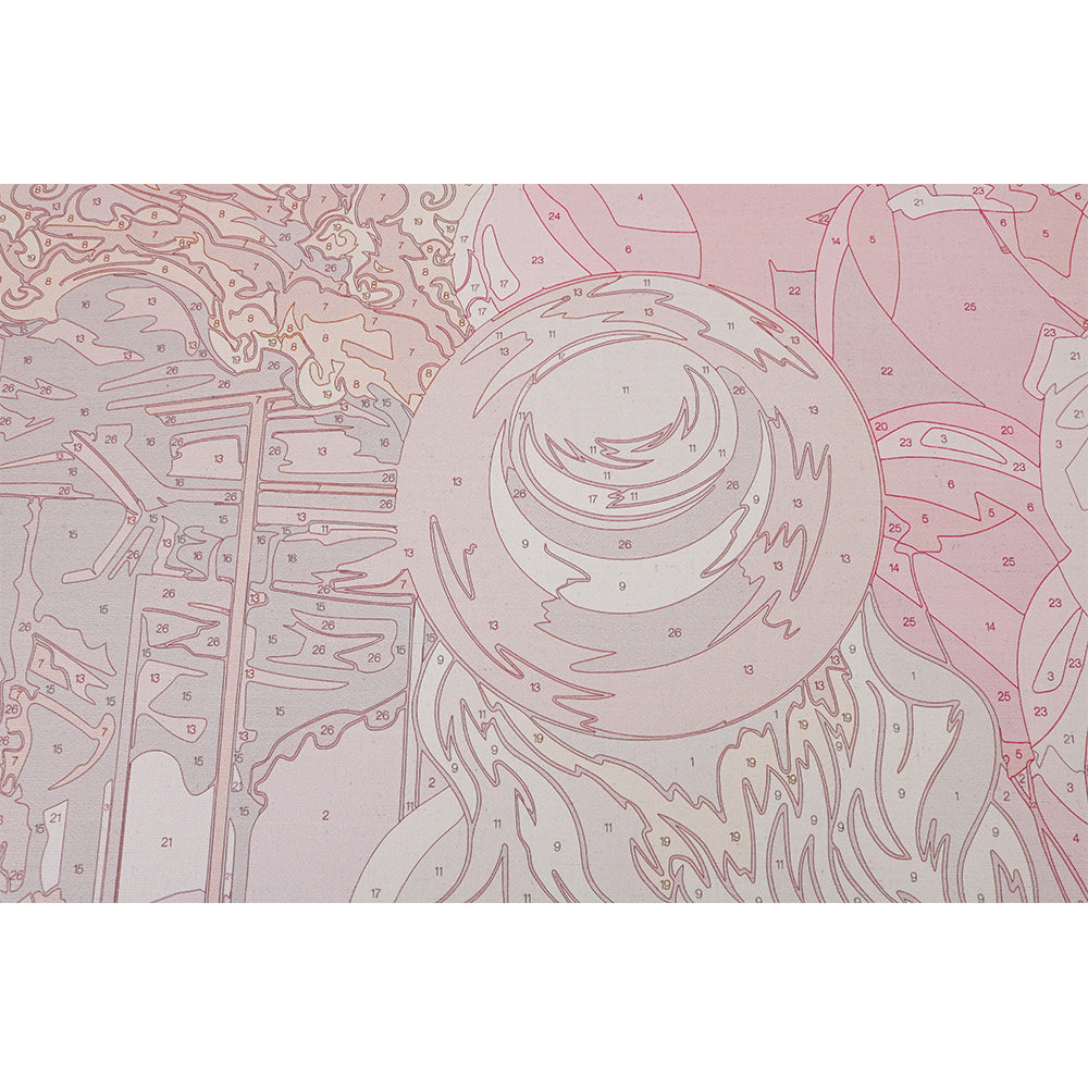 Pareja de Loros - Pintar por Números